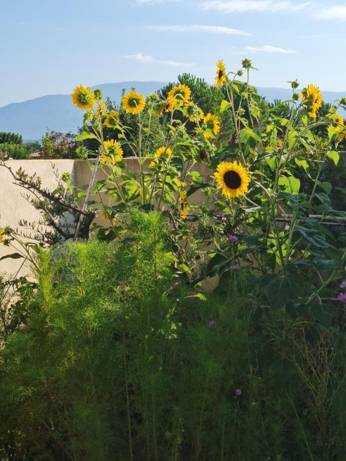 Petit Gite De Provence Mazan Luaran gambar